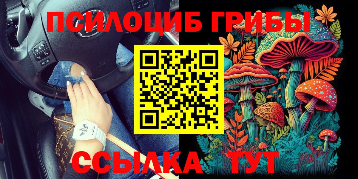 Калач-на-Дону  Галлюциногенные грибы прущие грибы  Псилоцибиновые грибы ЛСД  где найти наркотики  Вход с VPN 